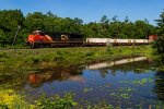 CN 3013